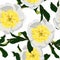 Seamless floral pattern with white yellow peonies and leaves. Design for wallpaper, fabric, wrapping paper.