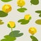 Seamless floral pattern with yellow flowers nuphars. Hand drawn vector illustration.