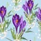 Seamless floral violet crocus flowers pattern on a blue background. Spring flowers and herb.