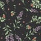 Seamless floral watercolor cowberry and salvia flowers pattern