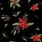 Seamless floral winter pattern. realistic holiday flowers from poinsettia and Holly. modern hand-drawn Wallpaper in the style of