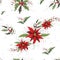 Seamless floral winter pattern. realistic holiday flowers from poinsettia and Holly. modern hand-drawn Wallpaper in the style of