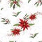 Seamless floral winter pattern. realistic holiday flowers from poinsettia and Holly. modern hand-drawn Wallpaper in the style of