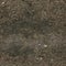 Seamless forest dirty ground texture