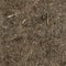 Seamless forest dry needles ground texture