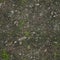 Seamless forest gravel ground texture