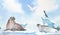 Seamless frame of banner with walrus, seal, guillemot and seagull watercolor illustration on ice , iceberg and blue sky