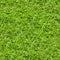 Seamless fresh green grass texture