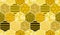 Seamless geometric pattern with bee. Modern abstract honey design.