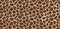 Seamless giraffe pattern skin texture repeating seamless color. Vector. Texture giraffe. Fashionable print.