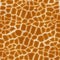 Seamless giraffe textures.