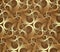 Seamless golden spirals pattern