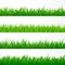 Seamless gorisontal grass border. Green grass pattern. Grass texture elements. Vector