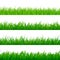 Seamless gorisontal grass border. Green herbal panorama pattern. Grass texture elements. Vector illustration