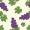 Seamless grape pattern vector