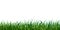 Seamless grass border isolated on white or background. illustration of fresh realistic green lawn. endless horizontal