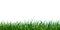 Seamless grass border isolated on white or transparent background. vector illustration of fresh realistic green lawn. endless