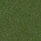 Seamless Grass Texture