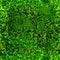 Seamless Grass Texture