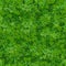 Seamless green foliage pattern. Green leaves background. Floral decor.