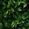 Seamless green leaves for outdoor decoration