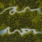 Seamless Green Terrain Background