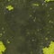 Seamless green texture - surface of dirty water