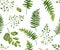 Seamless greenery green leaves botanical, rustic pattern Vector