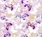 Seamless grey melange imitation butterfly spring summer collection pattern