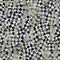 Seamless grungy pattern navy and cream texture