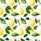 Seamless hand rawn watercolor lemon pattern on white background. Botanical illustration of yellow citrus fruits. Ideal