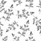Seamless Herb pattern. Abstract black branches.