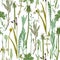 Seamless herbal pattern