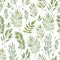 Seamless herbal pattern with leaves. Watercolor illustration