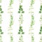 Seamless herbal pattern with watercolor fennel, parsley, basil, thyme, rosemary