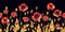 Seamless horizontal pattern. Field poppies of different angles in retro style, hand-made graphics, watercolor