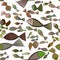 Seamless illustrations of fish. Pattern, ocean, messy & style.