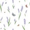 Seamless Lavender flowers and Butterflys repeat pattern