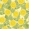 Seamless lemon Pattern for print on any surface