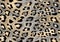 Seamless leopard cheetah animal skin pattern. Ornamental Silver Yellow Design for women textile fabric printing.