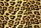 Seamless leopard cheetah animal skin pattern. Ornamental Yellow Design for women textile fabric printing. Suitable