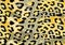 Seamless leopard cheetah animal skin pattern. Ornamental Yellow Gray Design for women textile fabric printing.
