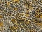 seamless leopard cheetah texture animal skin pattern. Gold color textile fabric print. Suitable for fashion use.