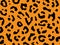 Seamless leopard fur pattern. Fashionable wild leopard print background
