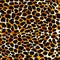 Seamless leopard, ocelot or wild cat fur pattern print