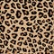 Seamless leopard print. Vector pattern, texture, background