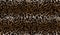 Seamless Leopard Skin Pattern for Textile Prints. Wild Cheetah Repeating Textur