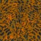 Seamless Leopard Zebra Stripes Pattern Texture Vector. Endless cheetah design for dress fabric print.