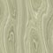 Seamless light wooden pattern