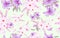 seamless lilium camomile floral pattern background for fabric print. Ditsy illustration. Purple lily and daisy flowers leaves